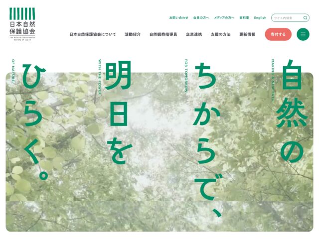 たづがね角ゴシック | 81-web.com : 日本のWebデザイン・Webサイト